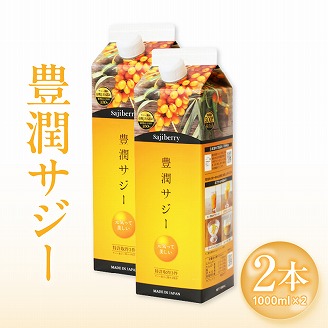 豊潤サジー 1000ml×2本セット サジージュース【紙パックタイプ】