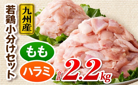 九州産若どり2.2kg小分けセット