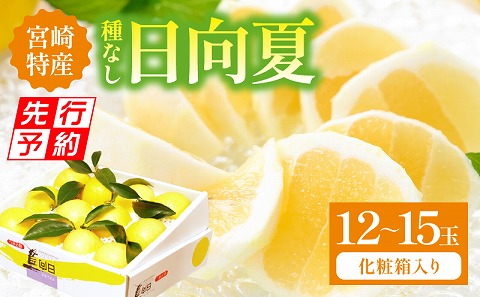【先行予約】【期間・数量限定】宮崎特産 日向夏