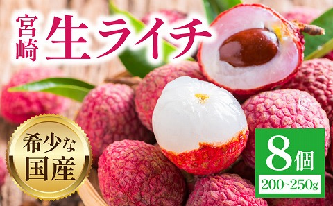 《2026年発送先行予約》【数量・期間限定】宮崎生ライチ 新鮮 果実 濃厚
