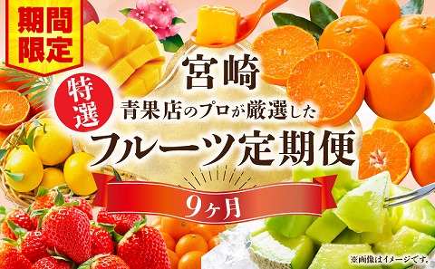 【期間・数量限定】特選！旬のフルーツ9ヶ月定期便vol.1