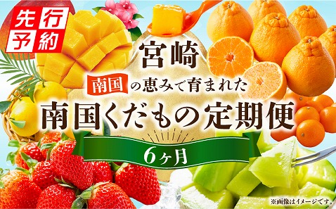 《2026年発送先行予約》南国くだもの6ヶ月定期便