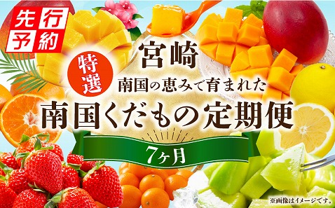 《2026年発送先行予約》特選南国くだもの7ヶ月定期便 フルーツ 定期便 果物 