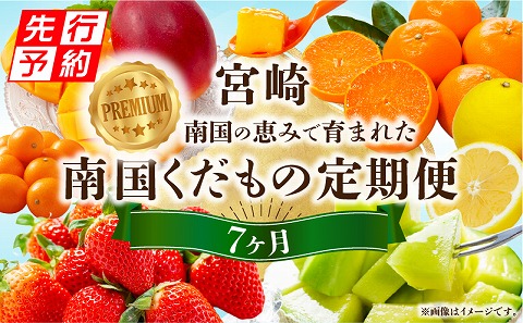 《2026年発送先行予約》プレミアム南国くだもの7ヶ月定期便 フルーツ 果物 定期便