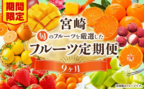 【期間・数量限定】旬のフルーツ9ヶ月定期便vol.1