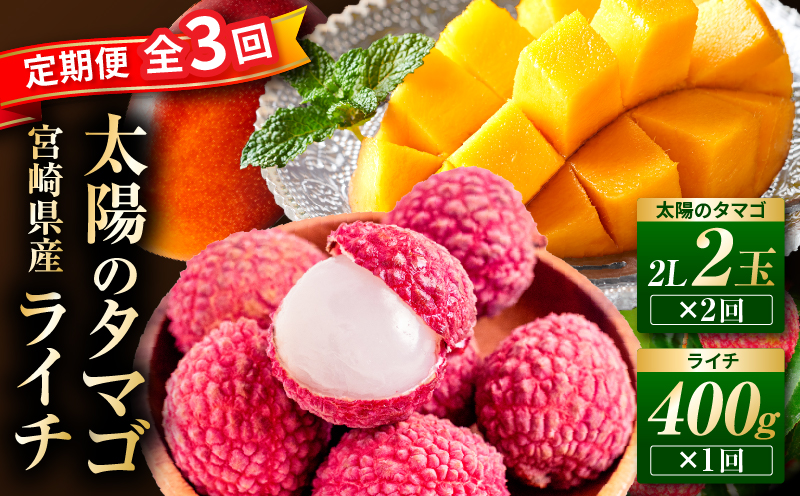 《2026年発送先行予約》【数量・期間限定】【全3回】太陽のタマゴ・ライチ定期便 マンゴー 宮崎マンゴー ライチ 定期便 果物定期便 果物 フルーツ定期便 フルーツ デザート