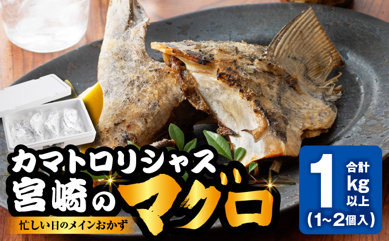 カマトロリシャス宮崎のマグロ カマ焼き キハダマグロ 新鮮