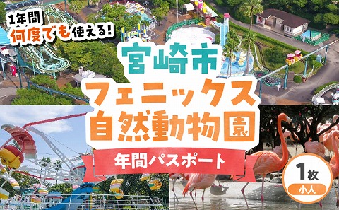 宮崎市フェニックス自然動物園年間パスポート（小人）