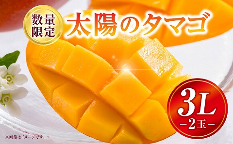 《2026年発送先行予約》【数量・期間限定】太陽のタマゴ 3Lサイズ 2玉