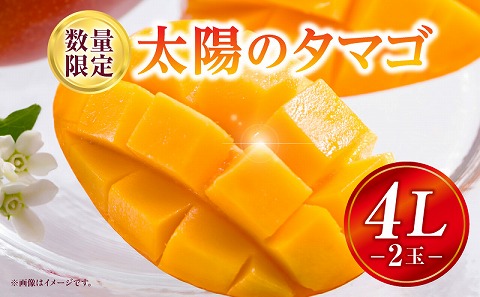 《2026年発送先行予約》【数量・期間限定】太陽のタマゴ 4Lサイズ 2玉