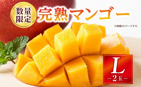 《2026年発送先行予約》【数量・期間限定】完熟マンゴー Lサイズ 2玉 南国 フルーツ 完熟