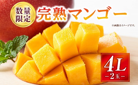 《2026年発送先行予約》【数量・期間限定】完熟マンゴー 4Lサイズ 2玉 完熟 甘味 南国