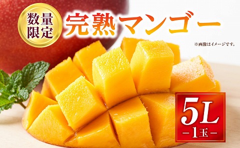 《2026年発送先行予約》【数量・期間限定】完熟マンゴー 5Lサイズ 1玉 完熟 甘味 南国