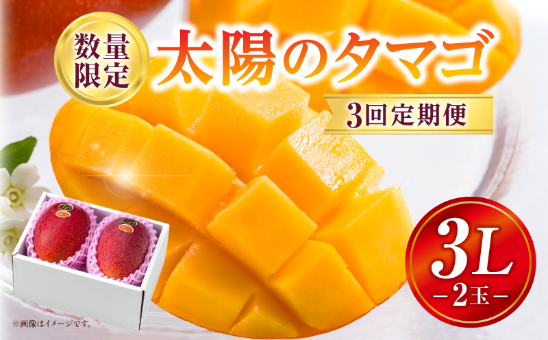 《2026年発送先行予約》【数量・期間限定】3回定期便 3L2玉太陽のタマゴコース 果物 フルーツ マンゴー