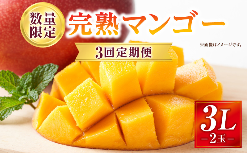 《2026年発送先行予約》【数量・期間限定】3回定期便 3L2玉完熟マンゴーコース 果物 フルーツ マンゴー