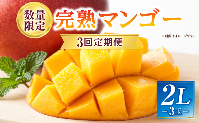 《2026年発送先行予約》【数量・期間限定】3回定期便 2L3玉完熟マンゴーコース 果物 フルーツ マンゴー