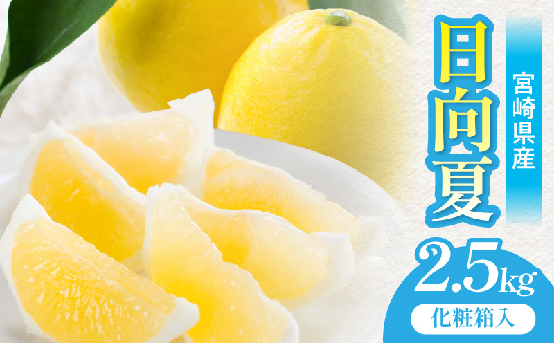 《2026年発送》【数量・期間限定】宮崎県産日向夏2.5kg　化粧箱入り フルーツ 柑橘 日向夏