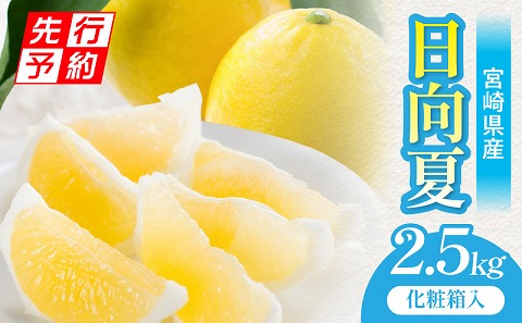 《2026年発送先行予約》【期間・数量限定】宮崎県産日向夏2.5kg　化粧箱入り フルーツ 柑橘 日向夏