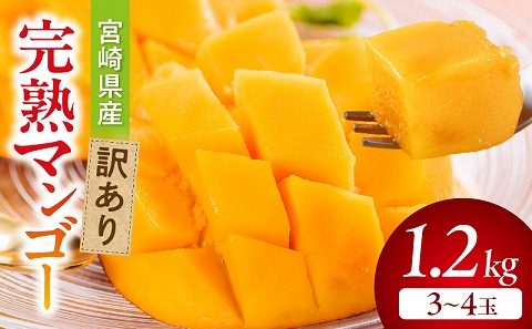 《2026年発送先行予約》【数量・期間限定】宮崎県産訳あり完熟マンゴー1.2kg(3～4玉) マンゴー フルーツ 果物