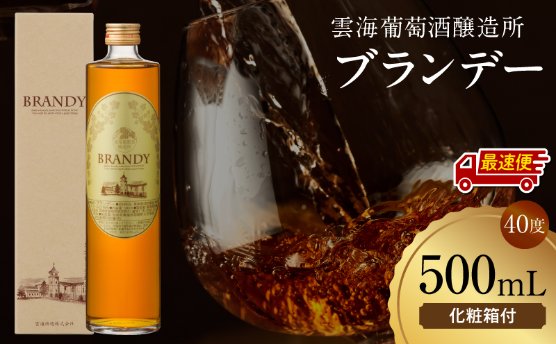 【最速便】雲海葡萄酒醸造所 ブランデー 500ml ワイン 果実酒 ギフト