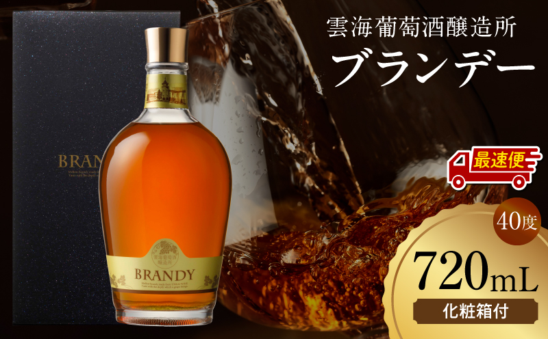 【最速便】雲海葡萄酒醸造所 ブランデー 720ml ワイン 果実酒 ギフト