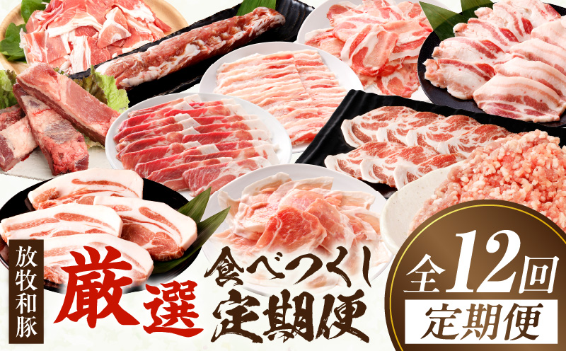 【全12回】《放牧和豚》厳選食べつくし定期便 豚 ロース バラスライス モモ肉 ミンチ こま切れ