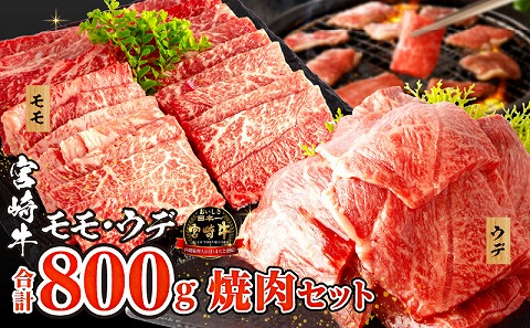 宮崎牛 モモ ウデ 焼肉 セット 各400g 合計800g |牛肉 牛 肉