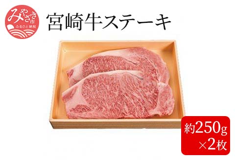 宮崎牛ステーキ[約250g×2枚] |牛肉 牛 肉 ステーキ