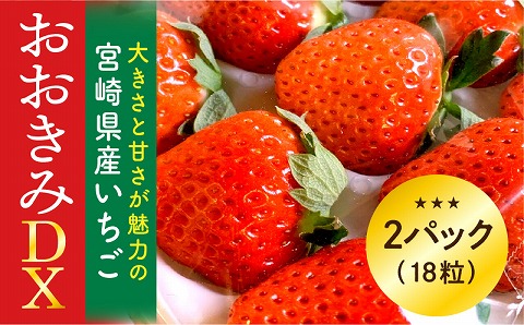 期間・数量限定 宮崎県産 イチゴ「おおきみDX」2パック(18粒)