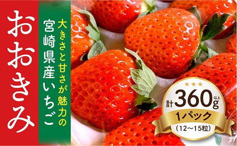 期間・数量限定 宮崎県産 イチゴ 「おおきみ」 1パック (360g以上:12粒〜15粒程度)