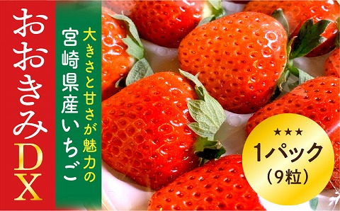 期間・数量限定 宮崎県産 イチゴ「おおきみDX」1パック(9粒)