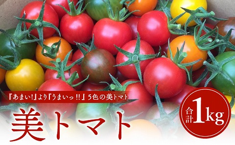 美トマト(5色)1kg