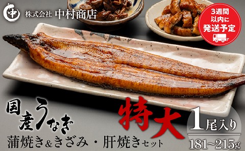国産うなぎ 蒲焼き 特大サイズ(181～215g)・きざみ・肝焼きセット