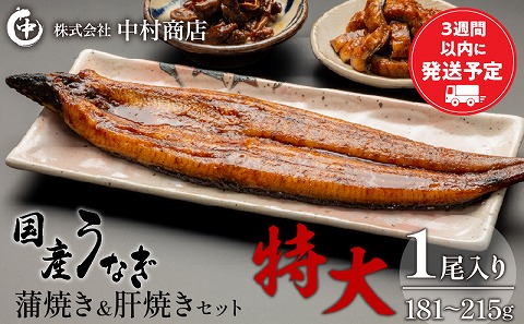 国産うなぎ 蒲焼き 特大サイズ(181～215g)・肝焼きセット