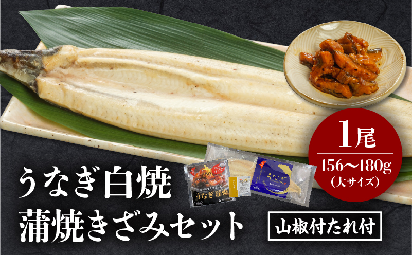 うなぎ白焼(大サイズ)・きざみセット うなぎ 白焼 セット 冬うなぎ 冬鰻