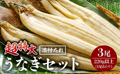 うなぎ白焼(超特大サイズ) 3尾