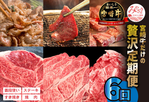 宮崎牛だけの 贅沢 定期便 6ヶ月 コース |牛肉 牛 肉 ヒレステーキ フィレ ヘレ リブロースステーキ サーロインステーキ モモ焼肉 モモスライス モモステーキ 赤身サイコロ バラ焼肉 ロース焼肉