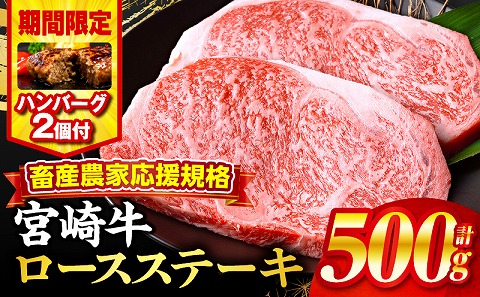 【期間・数量限定】畜産農家応援！宮崎牛ロースステーキ250g×2・国産牛ハンバーグ100g×2個 牛肉 ステーキ ロースステーキ