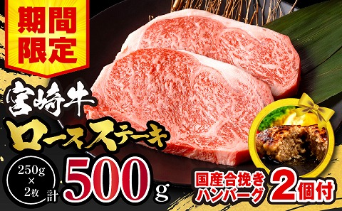 [期間・数量限定]宮崎牛ロースステーキ250g×2 合挽きハンバーグ100g×2個 合計700g