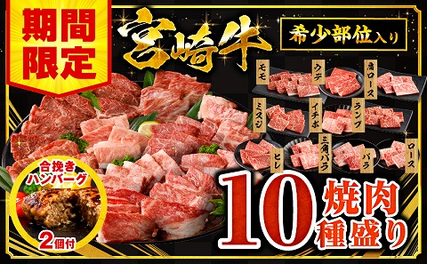 [期間限定]宮崎牛焼肉10種盛り合わせ+合挽きハンバーグ100g×2個