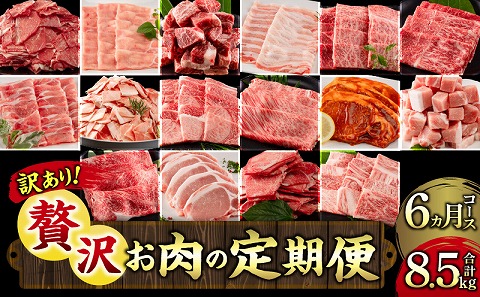 [訳あり][定期便]宮崎県産黒毛和牛・宮崎県産豚肉 贅沢6か月コース |牛肉 牛 うし 豚肉 豚 ぶた 肉 国産 豚ローストンカツ 豚ロースしゃぶしゃぶ 豚肩ロースしゃぶしゃぶ 豚バラしゃぶしゃぶ 豚