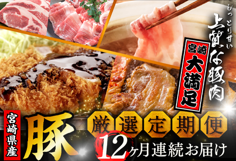 [期間・数量限定]厳選!宮崎県産豚 定期便 Aコース [2024年3月から毎月お届け!] 全12回 |豚肉 豚 ぶた 肉 国産 バラブロック ロースしゃぶしゃぶ バラ焼肉 ロースカツ 切り落とし バラ