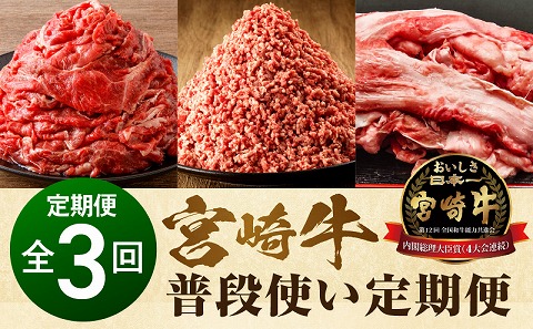 宮崎牛 普段使い定期便 全3回 切り落とし ミンチ 牛すじ