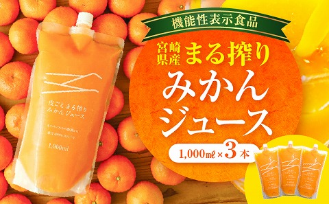 豊潤サジー　1000ml 豊潤サジー 1000ml サジージュース【紙パックタイプ】 鉄 鉄分