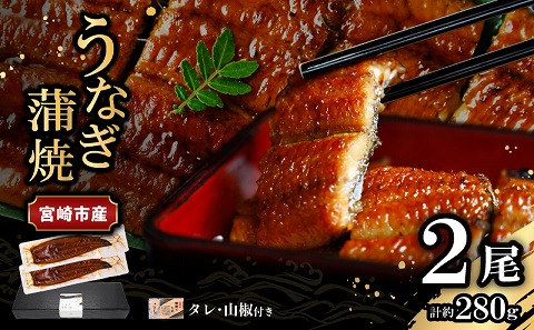 宮崎県宮崎市産　うなぎの蒲焼　約280g（約140g×2尾）タレ・山椒セット