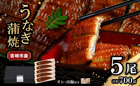 宮崎県宮崎市産　うなぎの蒲焼　約700g（約140g×5尾）タレ・山椒セット