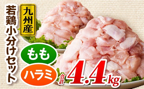 九州産若どり4.4kg小分けセット