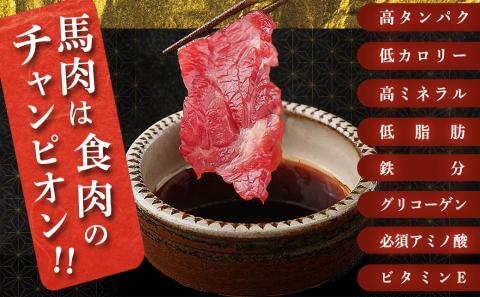 都城産「桜肉」馬刺し ロース・赤身ブロック300gセット≪みやこんじょ特急便≫_MJ-0119-Q