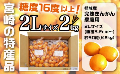 【先行受付！】【2月～3月お届け】都城産完熟きんかん 家庭用2kg (2Lサイズ)_13-B501