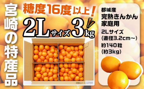 【先行受付！】【2月～3月お届け】都城産完熟きんかん 家庭用3kg (2Lサイズ)_18-B501